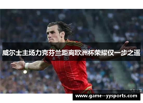 威尔士主场力克芬兰距离欧洲杯荣耀仅一步之遥 威尔士主场力克芬兰距离欧洲杯荣耀仅一步之遥